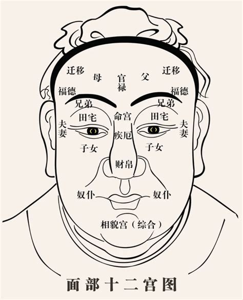 面形面相 家有老鼠